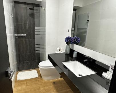 Sector 1 Apartment | 2 Bedroom Apartments San Isidro Business Zone