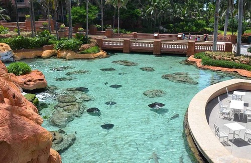 Paradise Island Resort | 2 Bedroom Lock-out - Harborside Resort at Atlantis - Full Resort Access