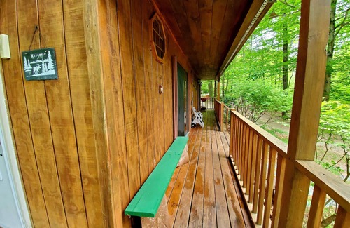 Bryant Pond Cabin | 2 minute walk to Shagg Pond/Bryant Pond. Pet friendly!