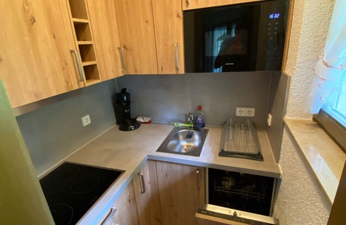 Todtnauberg Apartment | 2-room apartment for up to 4 people in Todtnauberg