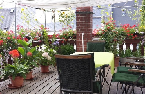Marienberg Apartment | 2 - room - apartment with garden view