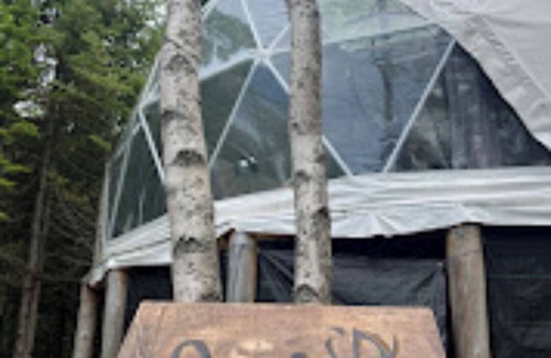 Youngs Cove Cottage | 26ft Geodesic Dome nestled in the trees with hot tub and Grand Lake steps away.