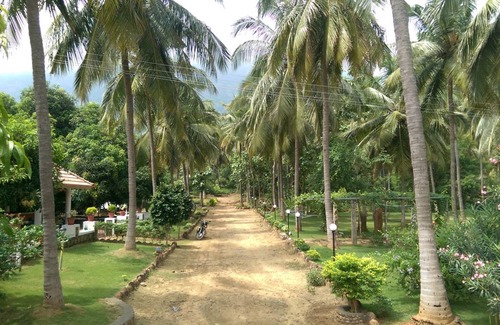 Chittur Resort | 28 m² Private room ∙ 1 bedroom ∙ 2 guests