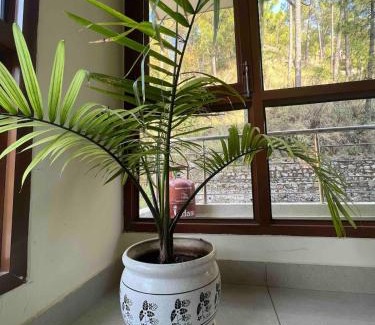 Barog Apartment | 2BHK Furnished Apartment/Near Kasauli/Barog/Luv Fun & Adventure