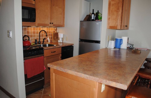 Wintergreen Condo | 2BR Ski-In Ski Out Condo!