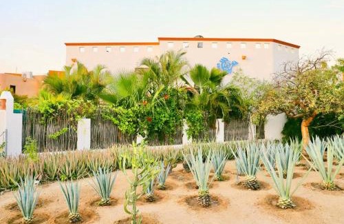 Cabo Bello House | 3 Bed 4 bath Ocean View with Heated Pool.