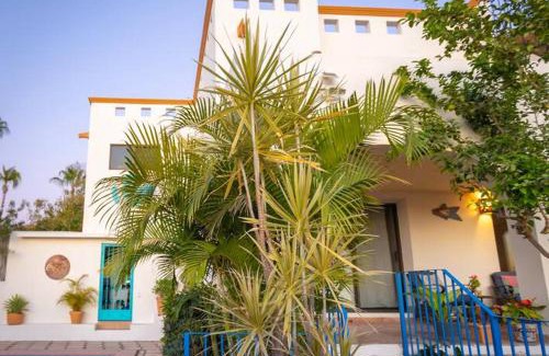 Cabo Bello House | 3 Bed 4 bath Ocean View with Heated Pool.
