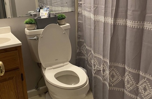 Florissant House | 3 bedroom 2 full bath roomy ranch