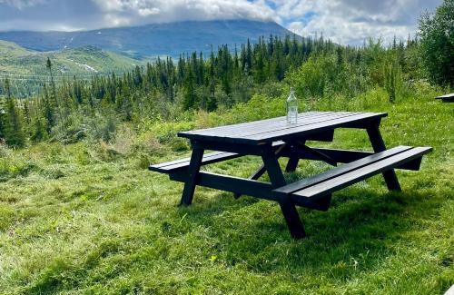 Atra Apartment | 3 Bedroom Apartment with nice view by Gaustatoppen
