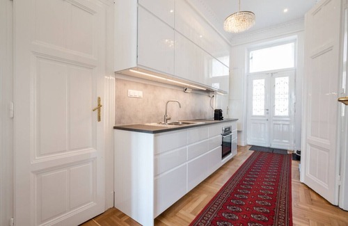 Nepszinhaz negyed Apartment | 3 BR Classical Apartment With a Modern Touch