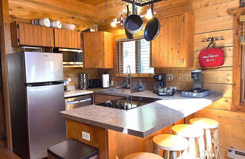 Saint Mary's House | 3 BR Mountain Log Cabin at St. Mary's Glacier