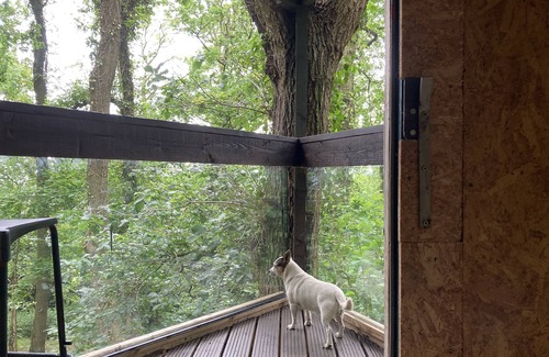 Longhope House | 3 Guests - Pet Friendly - Grid Tree-house