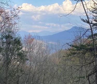 Chalet Village House | 3 Miles to Gsmnp & Dtwn Good Views HotTub A-Frame
