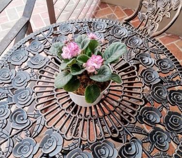 Baguio Apartment | 3 Pax Studio Foggy Cold Breeze,Condo in Gardenville Hotel