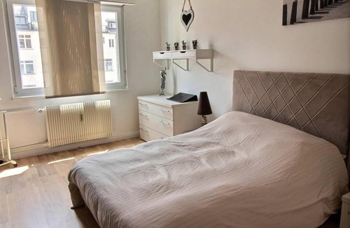 Krutenau Apartment | 3 pièces en plein centre de Strasbourg