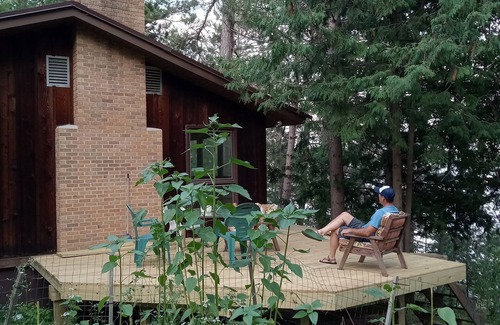 Ely Cabin | 30 day min on pristine Burntside, breathe the pines & hear loons call, fish jump