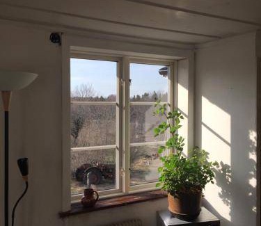 Vato Bed & Breakfast | 30 m² Bed and breakfast ∙ 2 bedrooms ∙ 6 guests
