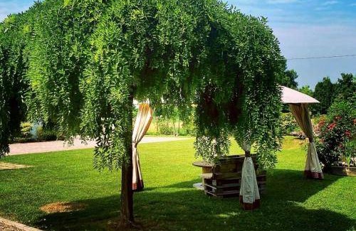 Noale Bed & Breakfast | 30 m² Bed and breakfast ∙ 3 guests