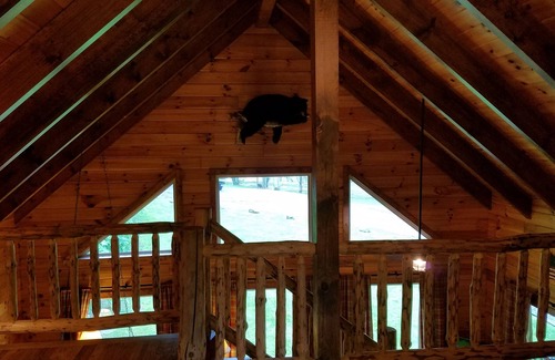 Pearisburg Cabin | 30 min from Blacksburg - Bear Foot Cabin on Walker Creek
