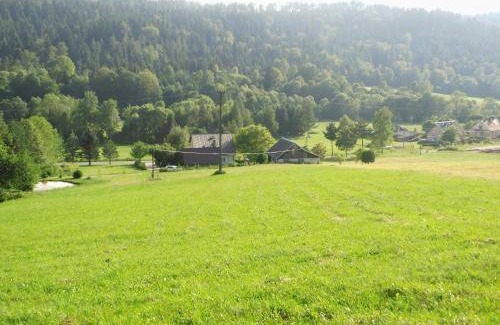 Ustrzyki Dolne Cabin | 35 m² Lodge ∙ 3 bedrooms ∙ 7 guests