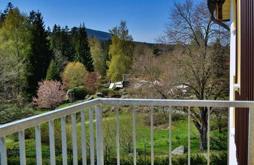 Schierke Apartment | 36 m² Apartment ∙ 1 bedroom ∙ 2 guests