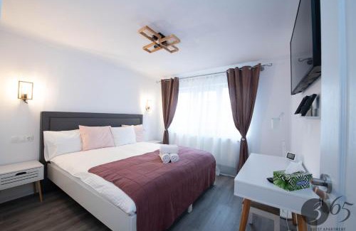 Hunedoara Apartment | 365 Guest Apartment