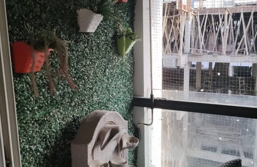 Rau Apartment | 3BHK Fully Furnished Flat Indore