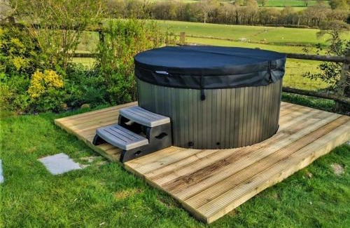 Llandovery House | 4 Bed in Llandovery 82440