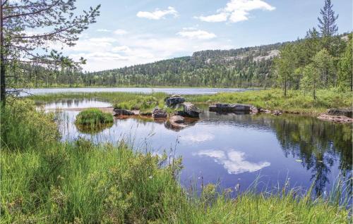 Nissedal House | 4 Bedroom Gorgeous Home In Åmli