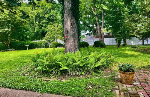 Bell Buckle House | 4-bedroom house in charming Bell Buckle with AC, WiFi. Enjoy your stay