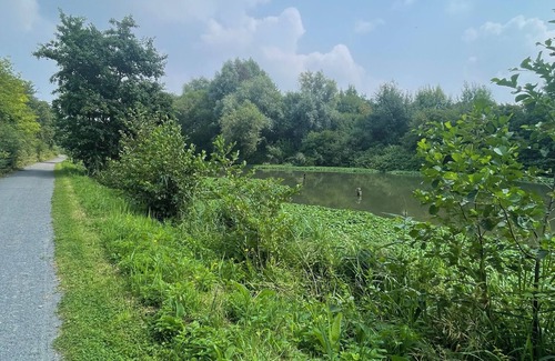 Comines Cottage | 4-person accommodation with spa (on request)