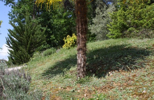 Vezac Apartment | 4-PERSON APARTMENT IN THE HEART OF PERIGORD NOIR NEAR SARLAT