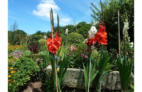 Plogonnec House | 4-person gite between Quimper and Locronan