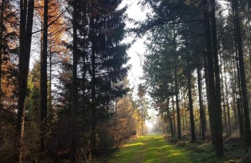 Tønder Municipality House | 4 person holiday home in Skærbæk-By Traum