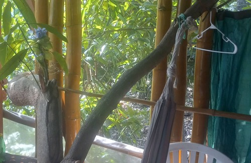 Snow Hill House | 4 story wood bamboo house overlooking sae an beach below