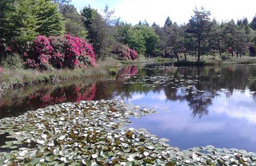 Wijnjewoude Bed & Breakfast | 44 m² Bed and breakfast ∙ 2 guests