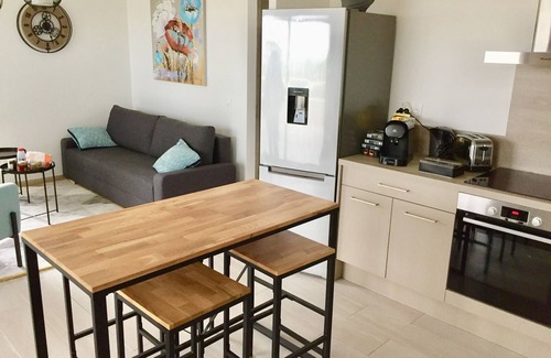 Lecci Apartment | 45 m² air-conditioned apartment with 30 m² terrace Near Saint-Cyprien bay