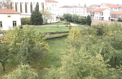 Saint Nicolas - Charles III - Ville vieille - Trois Maisons - Leopold Apartment | 45m2 Nancy, bedroom, gym
