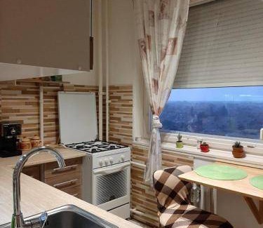 Hodmezovasarhely Apartment | 47 m² Apartment ∙ 2 bedrooms ∙ 4 guests