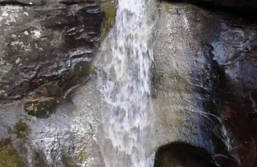 Hartman House | 4bdrm. Quiet and Peaceful. Family & Pet Friendly!