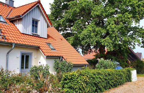 Rosenhagen House | 5 * holiday home on the Baltic beach with sauna, fireplace, Wi-Fi and garden