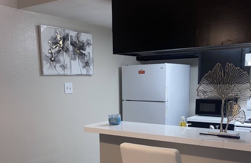 Humble Apartment | 5 Mins From IAH Remodeled/ FamilyApt/ Free Parking & Wifi