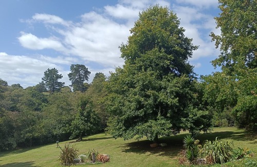 Tamahere Apartment | 5 Minutes from Mystery Creek and Hamilton Airport.