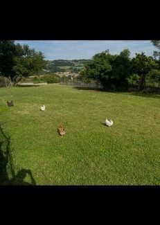 Reventin-Vaugris Apartment | 5 mn Vienne, confort et calme à la campagne - Le 2ème