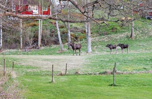 Vastra Gotaland House | 5 person holiday home in ASKERÖARNA-By Traum