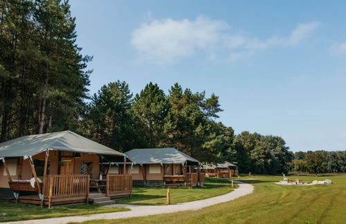 Zeewolde Cottage | 5-person safari tent lodge