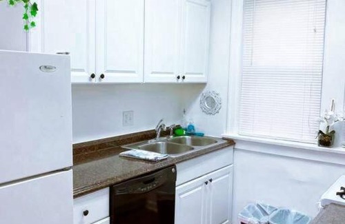 St. Louis Apartment | (53.1S) Forest Park, The Zoo, and much more