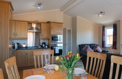 Mullacott Cabin | 54 Meadow View Lodge - 3 Bed-Sleeps 6-TJS54MV