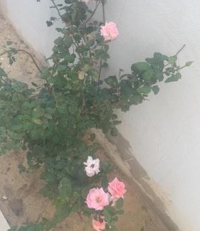 Hammamet Apartment | 5min de la zone touristique 400metre de la plage appartement chic S plus 1