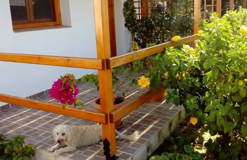 Ikaria Bed & Breakfast | #6 Drakano rooms,for nature lovers